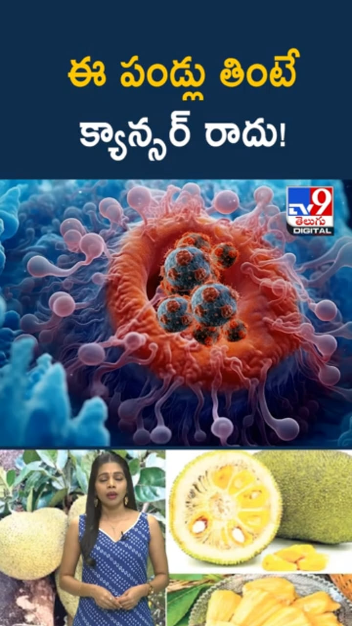 Cancer Prevention: ఈ పండ్లు తింటే మీకు అసలు క్యాన్స‌ర్ రాదు..!