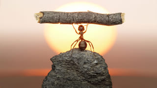 శీతాకాలంలో ఆరోగ్యంగా  ఉండాలా?.. ఐతే రోజూ ఓ గ్లాసుడు ఈ జ్యూస్ తాగండి