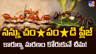 కొండ అంచున సెల్ఫీ.. కట్‌ చేస్తే… 130 అడుగుల నుండి