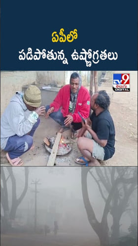 AP Cold Wave: ఏపీలోనూ క్రమంగా పడిపోతున్న ఉష్ణోగ్రతలు