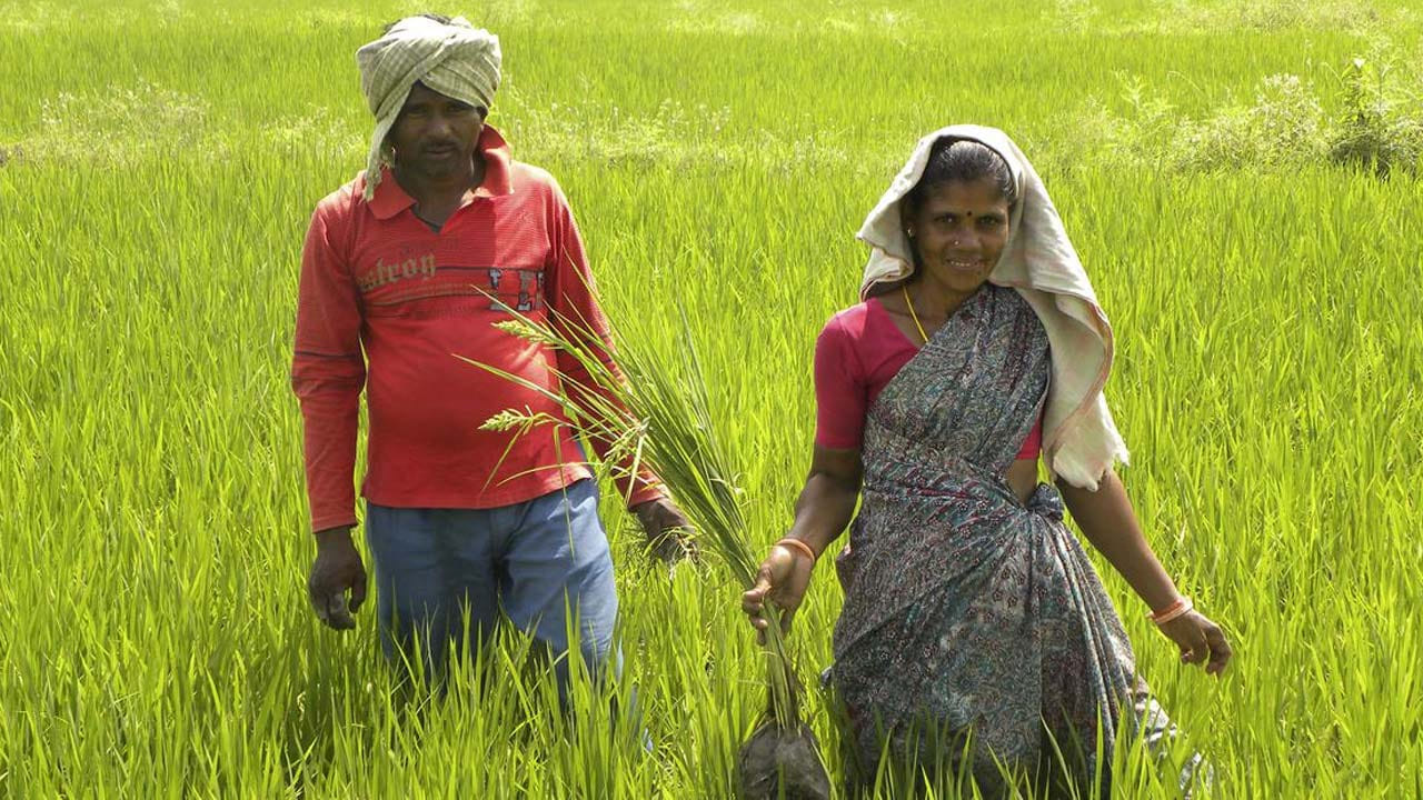 Andhra News: ఏపీలోని రైతులందరికీ భారీ గుడ్‌న్యూస్.. న్యూ ఇయర్ వేళ ఫ్రీ.. ఫ్రీ