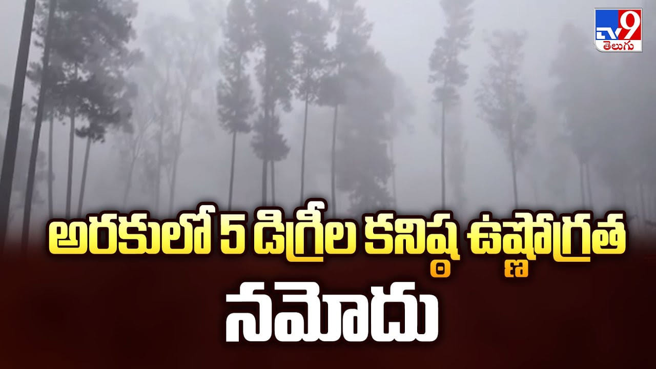 Cold Waves in AP: అరకులో 5 డిగ్రీల కనిష్ఠ ఉష్ణోగ్రత నమోదు