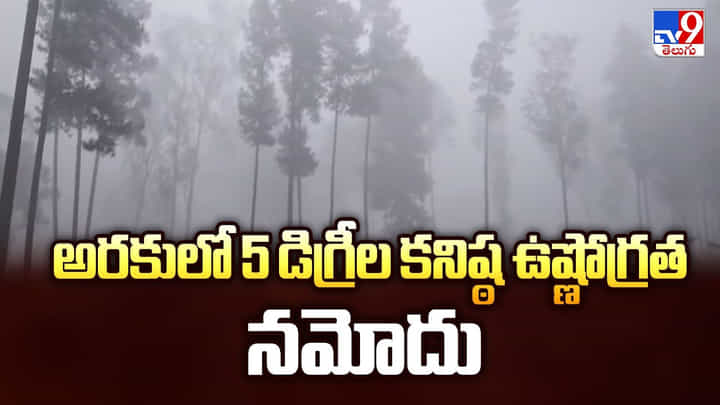Cold Waves in AP: అరకులో 5 డిగ్రీల కనిష్ఠ ఉష్ణోగ్రత నమోదు Cold Waves in AP: అరకులో 5 డిగ్రీల కనిష్ఠ ఉష్ణోగ్రత నమోదు