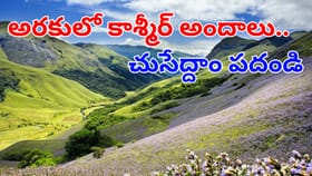 అరకు ట్రిప్‌కు ప్లాన్‌ చేస్తున్నారా?.. ఇవి కచ్చితంగా తెలుసుకోండి!