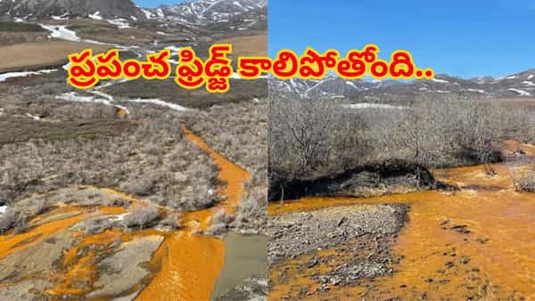 విశ్వం అంతం కానుందా..? ప్రపంచ ఫ్రిడ్జ్ కాలిపోతోంది.. వందలాది నదులు ఎరుపెక్కుతున్నాయి..