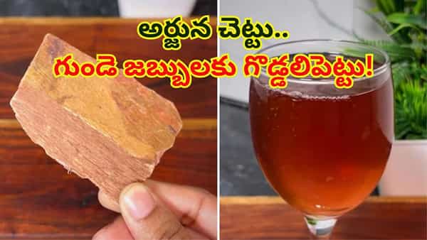 ఇదేదో చెక్కబెరడు అనుకుంటే పొరపాటే.. గుండె జబ్బులకు గొడ్డలిపెట్టు..!