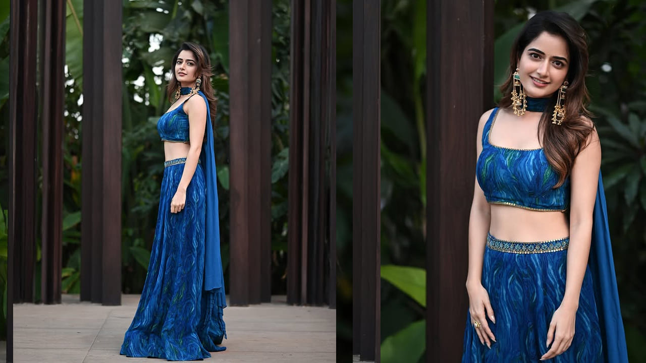 నా సామిరంగ తర్వాత మిస్ యూ మూవీలో కూడా నటించి మెప్పించింది. దీని తర్వాత ఈ చిన్నది ఏకంగా టాలీవుడ్ మెగాస్టార్ చిరంజీవి సరసనే ఛాన్స్ కొట్టేసింది. విశ్వంభర మూవీతో ఈముద్దుగుమ్మ నటిస్తుంది. వరసగా అవకాశాలు అందుకుంటూ టాలీవుడ్‌లో ఈ బ్యూటీ తన సత్తాచాటుతుందనే చెప్పాలి.