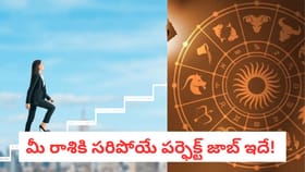 మీ రాశికి సరిపోయే పర్ఫెక్ట్ జాబ్ ఇదే!