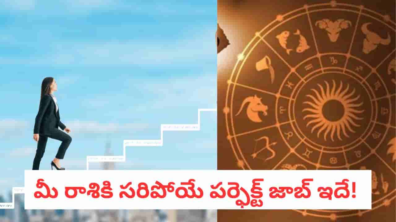 Career Astrology: కన్ఫ్యూజన్ వద్దు.. మీ రాశిని బట్టి ఈ కెరీర్ ఎంచుకుంటే కాసులు కురుస్తాయి!