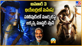 అవతార్ 3 థియేటర్లలో మహేష్‌ !!
