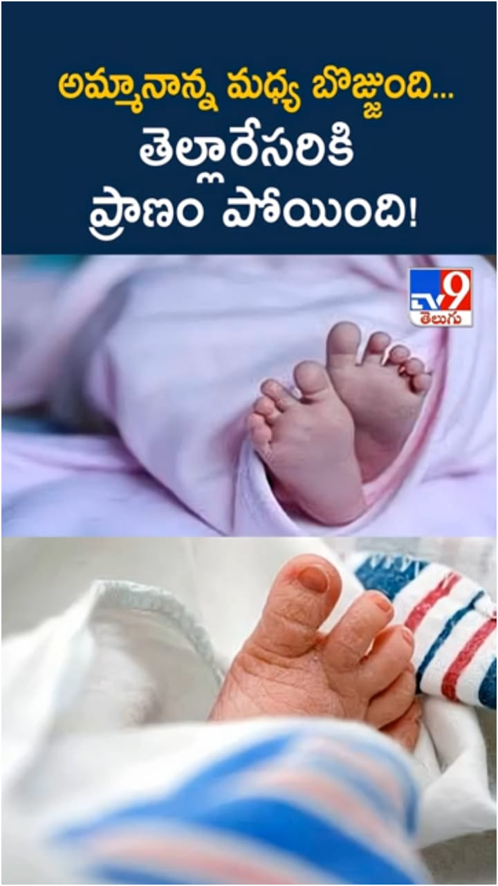 Newborn Baby: అయ్యో పసికందు.. నిద్రలో అమ్మానాన్న మధ్య నలిగి.. తెల్లారేసరికి..