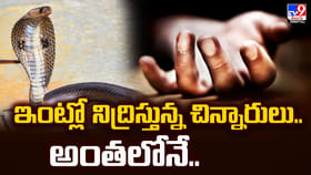 ఇంట్లో నిద్రిస్తున్న చిన్నారులు.. అంతలోనే..