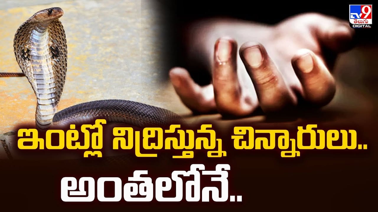 ఇంట్లో నిద్రిస్తున్న చిన్నారులు.. అంతలోనే.. ఇంట్లో నిద్రిస్తున్న చిన్నారులు.. అంతలోనే..