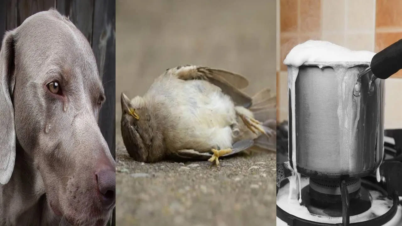 మీ జీవితంలో ఏదైనా చెడు జరగడానికి ముందు కనిపించే సంకేతాలు ఇవే.. లైట్ తీసుకుంటే..