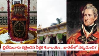 Tulsi plant Remedies: వాస్తు దోషాలకు చెక్.. తులసి మట్టిలో ఆ వస్తువును ఉంచితే సంపదకు ఇక కొరత ఉండదు!