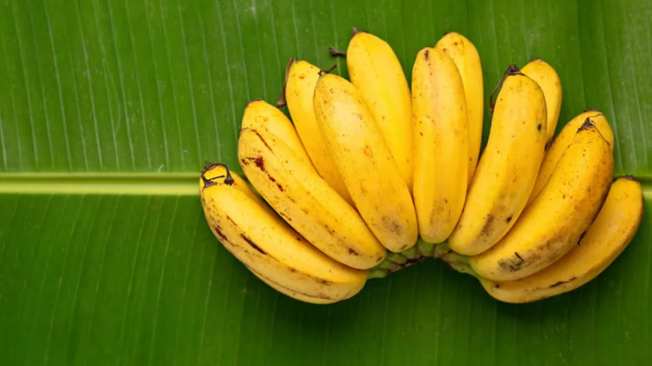 నిజానికి అరటిపండ్లు తినడం ఆరోగ్యానికి మేలు చేస్తుంది. అరటిపండ్లు తినడం వల్ల అనేక ఆరోగ్య సమస్యలు తొలగిపోతాయి. అరటిపండ్లు పిల్లల నుంచి వృద్ధుల వరకు అందరికీ ప్రయోజనకరంగా ఉంటాయి. 