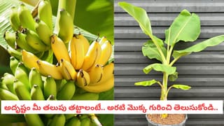 Success Tips: శత్రువుల మధ్య ఉన్నా ప్రశాంతంగా ఉండటం ఎలా? భగవద్గీత చెప్పే అసలైన ‘వర్క్ సీక్రెట్’!