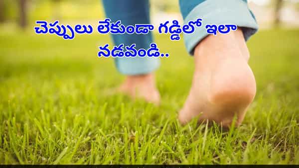 ఉదయాన్నే చెప్పులు లేకుండా ఇలా నడిస్తే...ఆ వ్యాధులన్నింటికీ చెక్ పెట్టొచ్చు..!