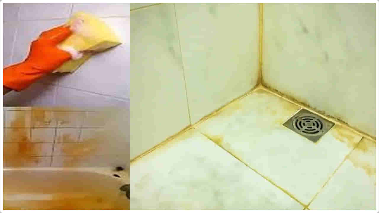 Bathroom Tiles: మీ బాత్రూమ్ టైల్స్ మురికిగా మారుతున్నాయా? ఇలా చేస్తే మెరిసిపోతాయ్‌.. బెస్ట్‌ టిప్స్‌!