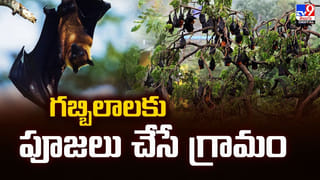 గబ్బిలాలకు పూజలు చేసే గ్రామం.. ఎందుకో తెలుసా ??