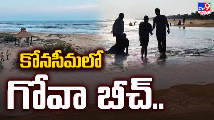 కోనసీమలో ఆకట్టుకుంటున్న గోవా బీచ్.. కోనసీమలో ఆకట్టుకుంటున్న గోవా బీచ్..