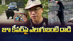 జూ కీపర్‌పై ఎలుగుబంటి దాడి.. పాపం చివరికి