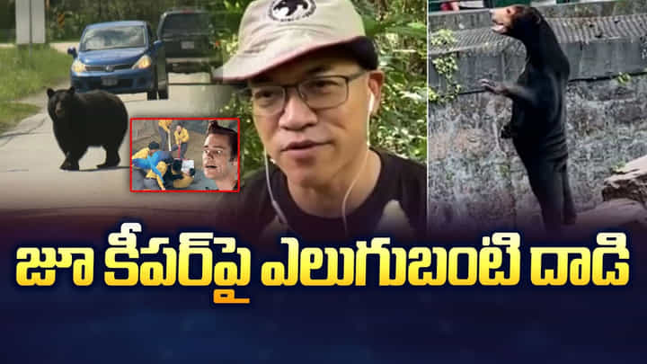 జూ కీపర్పై ఎలుగుబంటి దాడి.. పాపం చివరికి జూ కీపర్పై ఎలుగుబంటి దాడి.. పాపం చివరికి