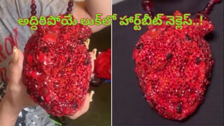 Watch Video: తన బోనులో దూరిన పాముకు చుక్కలు చూపింన సింహం.. చివరకు..