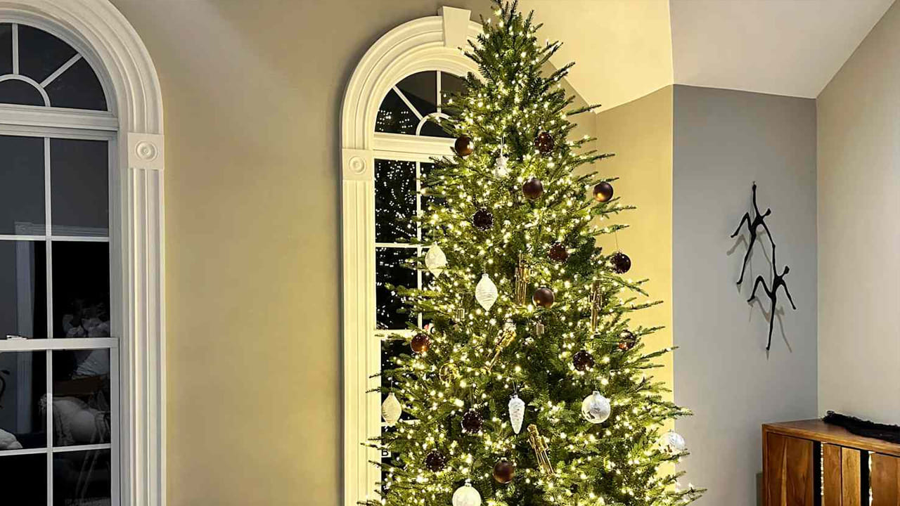 క్రిస్మస్ చెట్టు ఆశ, జీవితం, కొనసాగింపును సూచిస్తుంది. సతత హరితంగా, ఇది అత్యంత చల్లని నెలల్లో కూడా పచ్చగా ఉంటుంది. శాశ్వత జీవితం, స్థితిస్థాపకతను సూచిస్తుంది. సంవత్సరాలుగా, చెట్టును అలంకరించడం అనేది తరచుగా తరాలను కలిపే ఉమ్మడి కుటుంబ ఆచారం కాబట్టి, ఇది ఐక్యతను ప్రతిబింబిస్తుంది. పిల్లలు, పెద్దలు అందరూ పాత్ర పోషిస్తారు. క్రిస్మస్ రోజు రాకముందే ఈ చర్యను వేడుకగా మారుస్తారు. క్రమంగా, ఆ చెట్టు కేవలం అలంకరణ కంటే ఎక్కువైంది. ఇది వ్యక్తిగత కథలు, నమ్మకాలు, సంప్రదాయాల ప్రతిబింబంగా మారింది. కాలక్రమేణా సేకరించిన ఆభరణాలతో అలంకరించబడింది. ప్రతి ఒక్కటి దాని స్వంత జ్ఞాపకాలను కలిగి ఉంది.