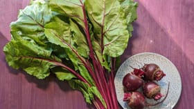 బీట్‌రూట్ ఆకులతో అద్భుత ఆరోగ్య ప్రయోజనాలు!
