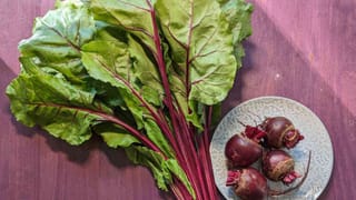 అన్నో శీతాకాలం జాగ్రత్త.. ఉదయాన్నే ఈ తప్పులు చేస్తే ఇన్ఫెక్షన్‌ వస్తుందంట..