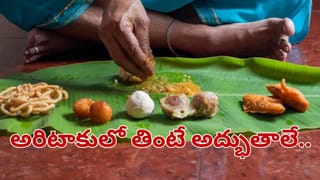 లక్షణాలు సింపుల్‌గానే ఉంటాయి.. కానీ, ప్రాణాంతకం.. బ్రెయిన్ ట్యూమర్‌కు చికిత్స ఎలా చేస్తారంటే..