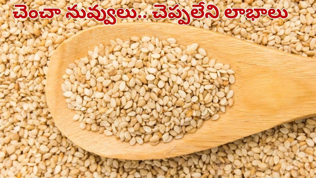 చలికాలంలో నువ్వులు ఎందుకు తినాలి.. అసలు విషయం తెలిస్తే వదలిపెట్టరు..