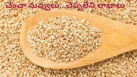 చలికాలంలో నువ్వులు ఎందుకు తినాలి.. అసలు విషయం తెలిస్తే..