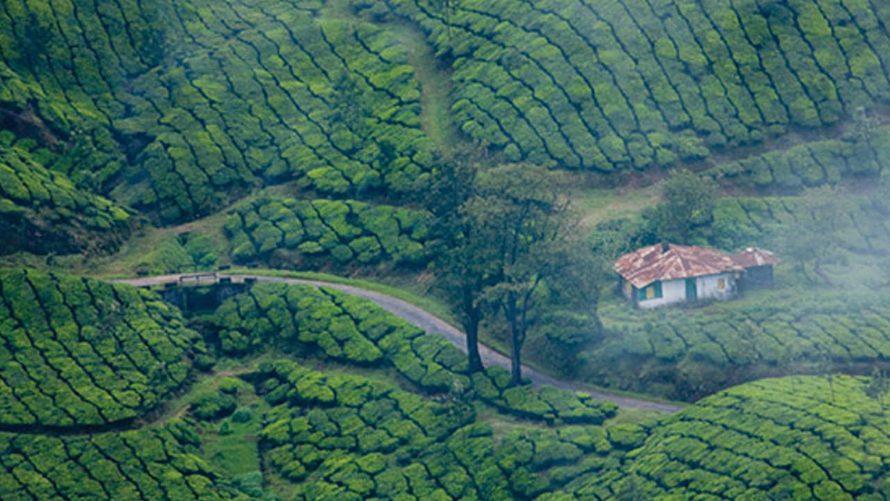 మున్నార్ , కేరళ : జనవరిలో చూడాల్సిన ప్రదేశాల్లో మున్నార్ కేరళ ఒకటి. ఈ మంత్‌లో ఇక్కడి ప్రదేశం చాలా అద్భుతంగా ఉంటుంది. ముఖ్యంగా చల్లటి ఉదయాలు, పొగమంచుతో కప్పబడిన అందమైన కొండలు, విస్తారమై టీ తోటలు, గల గలపారే జలపాతాలు, ఎరువికులం జాతీయ ఉద్యానవనం, అద్భుతమైన తోటలతో చాలా అందంగా ఉంటాయి. అయితే ఎవరు అయితే జనవరిలో టూర్ ప్లాన్ చేస్తున్నారో, వారికి అద్భుతమైన ప్రదేశం కేరళ అని చెప్పవచ్చు.