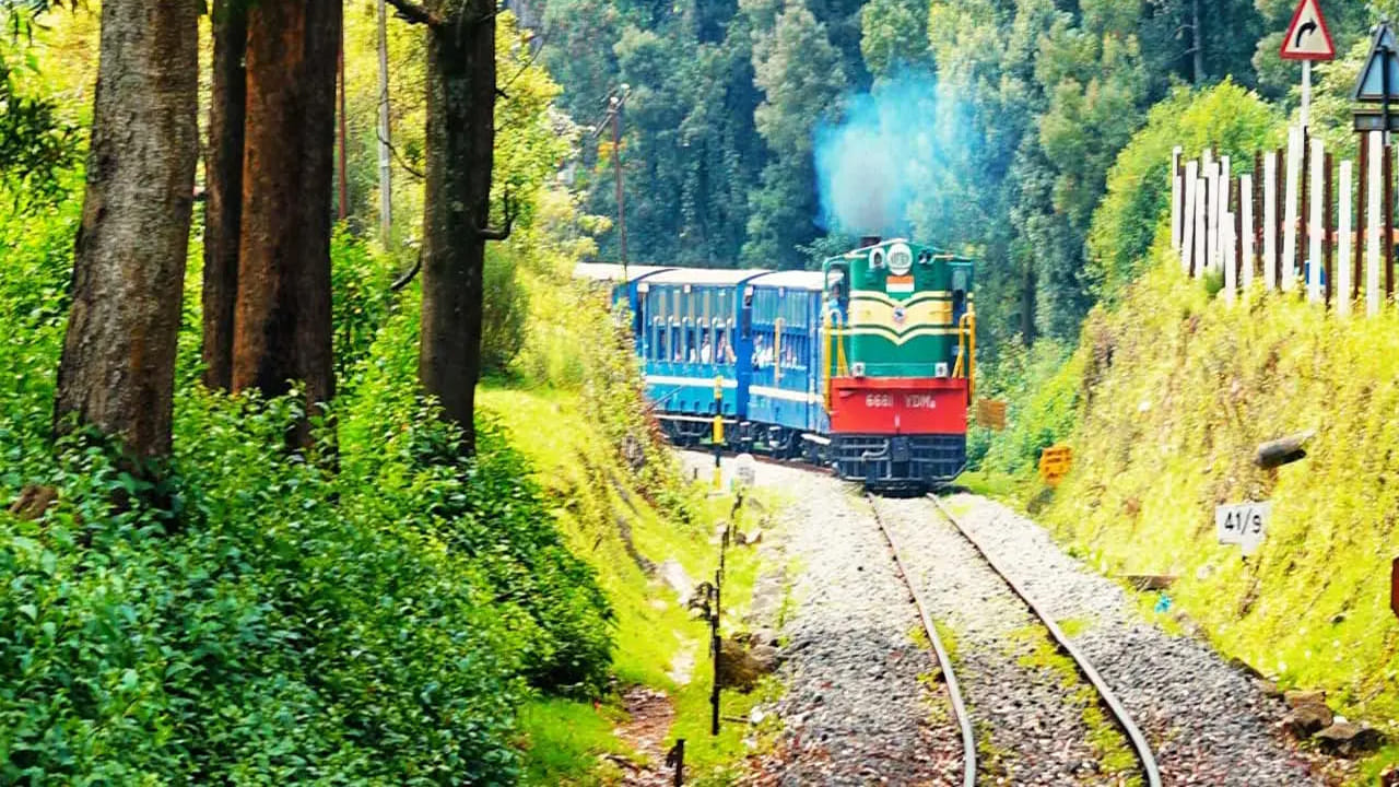 ఊటీ, తమిళనాడు : అందమైన ప్రదేశాల్లో ఊటీ కూడా ఒకటి. చాలా మంది ఊటీ వెళ్లడానికి ఎక్కువ ఇంట్రస్ట్ చూపుతుంటారు. అయితే నీలగిరి రాణిగా పిలవబడే, ఊటీ జనవరిలో చూడాల్సిన ప్రదేశాల్లో ఒకటి. శీతాకాలపు పగలు, చల్లని రాత్రులు, బొటానికల్ గార్డెన్స్, యూకలిప్టస్ అడవులు, కొండలు, ట్రైన్ ప్రయాణం, మంచి అనుభూతిని ఇస్తుంది.