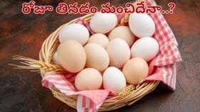 రోజూ గుడ్డు తినడం ఆరోగ్యానికి మంచిదా..? కాదా..?