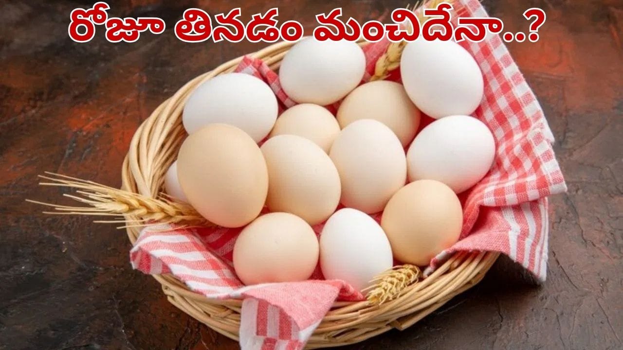 Eggs: రోజూ గుడ్డు తినడం ఆరోగ్యానికి మంచిదేనా..? అసలు నిజాలు ఇవే..