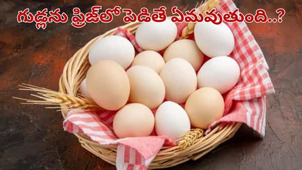 Eggs: గుడ్లను ఫ్రిజ్లో పెడితే పాడవుతాయా.. పుకార్లు కాదు వాస్తవాలు తెలుసుకోండి..