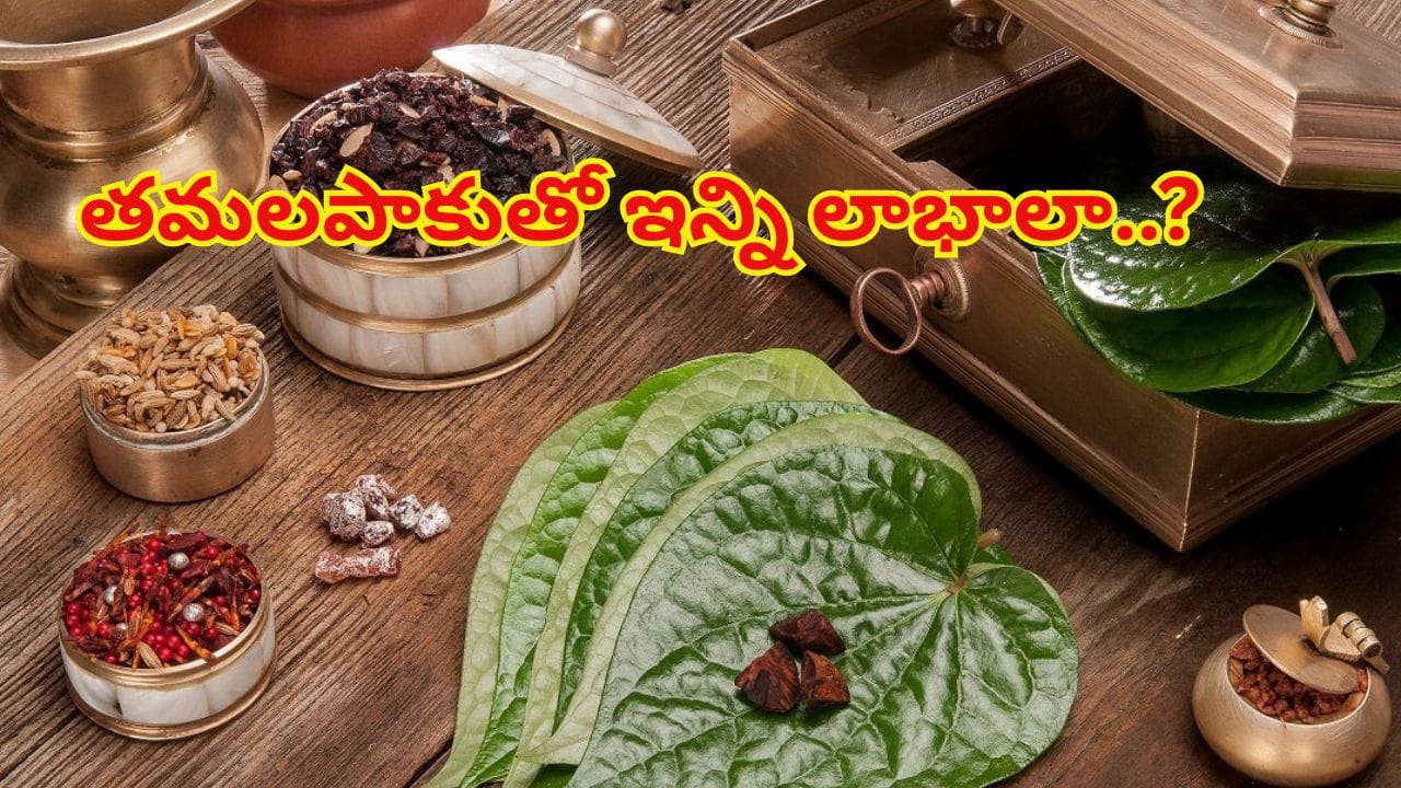 భోజనం తర్వాత ఇలా ఓ పాన్‌ నోట్లో వేసుకోండి..! ప్రయోజనాలు తెలిస్తే తీసుకోకుండా ఉండలేరు..