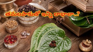 భోజనం తర్వాత ఇలా ఓ పాన్‌ నోట్లో వేసుకోండి..! ప్రయోజనాలు తెలిస్తే తీసుకోకుండా ఉండలేరు..