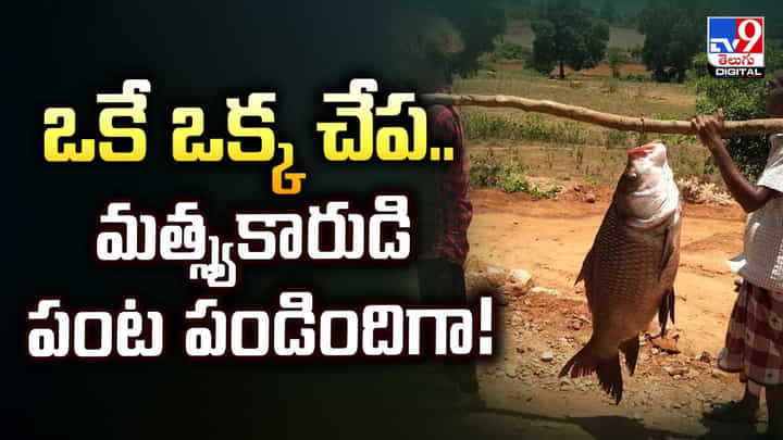 ఒకే ఒక్క చేప.. మత్స్యకారుడి పంట పండిందిగా ఒకే ఒక్క చేప.. మత్స్యకారుడి పంట పండిందిగా