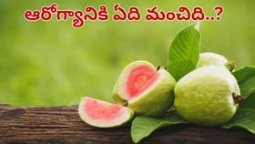పెద్ద జామకాయ Vs చిన్న జామకాయ.. రెండింటిలో ఆరోగ్యానికి ఏది మంచిది?