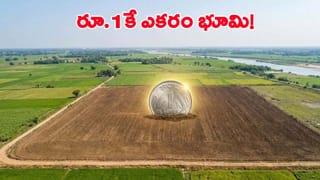 అయ్యో దేవుడా.. శబరిమల వెళ్లొస్తూ ఏపీకి చెందిన ఐదుగురు అయ్యప్ప భక్తుల దుర్మరణం..