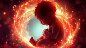 మనిషి పుట్టుకకు 9 నెలలు ఎందుకు పడుతుందో తెలుసా?