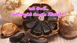 ఆవు, గేదె పాల కంటే బొద్దింక పాలతో బంపర్‌ బెనిఫిట్స్‌..! ఆరోగ్య ప్రయోజనాలు తెలిస్తే…