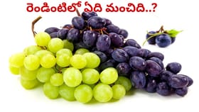పచ్చ ద్రాక్ష Vs నల్ల ద్రాక్ష.. ఆరోగ్యానికి ఏది మంచిది.. దేనిలో..