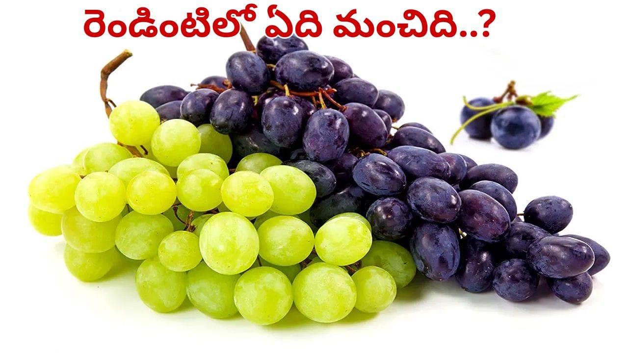 పచ్చ ద్రాక్ష Vs నల్ల ద్రాక్ష.. ఆరోగ్యానికి ఏది మంచిది.. ఎందులో పోషకాలు ఎక్కువ ఉంటాయో తెలుసా..?