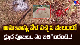 అమావాస్య వేళ పచ్చని పొలంలో క్షుద్ర పూజలు.. ఏం జరిగిందంటే