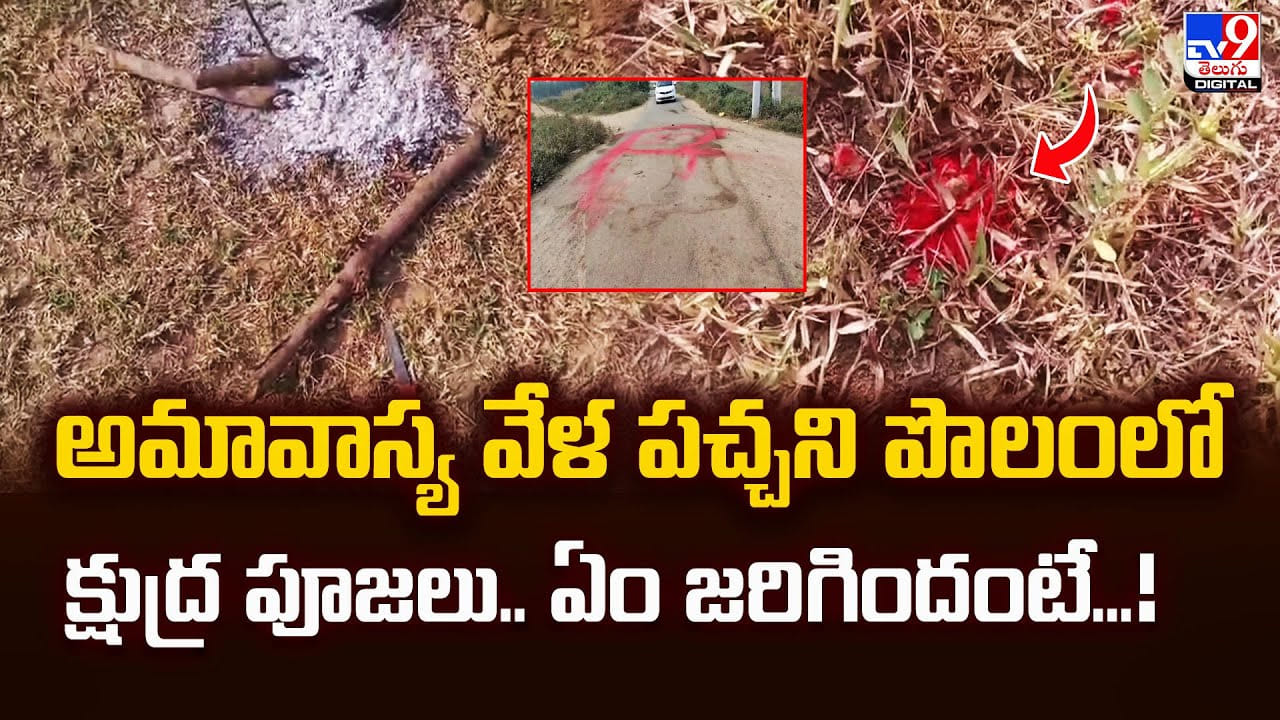 అమావాస్య వేళ పచ్చని పొలంలో క్షుద్ర పూజలు.. ఏం జరిగిందంటే అమావాస్య వేళ పచ్చని పొలంలో క్షుద్ర పూజలు.. ఏం జరిగిందంటే